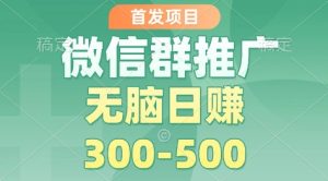 首发项目，微信群推广掘金，多号矩阵无脑日入3-5张【揭秘】-6688资源库