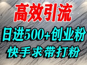 怎么打创业粉？快手求带视角精准引流创业粉，宝妈、学生群体日进500+精准流量-6688资源库