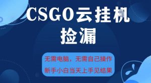 CSGO云挂G全自动捡漏,最新独家玩法,无需电脑操作,新手小白日入5张+【揭秘】-6688资源库