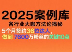 2025案例库,收录各行业大咖的方法论,各行业大咖方法论揭秘-6688资源库