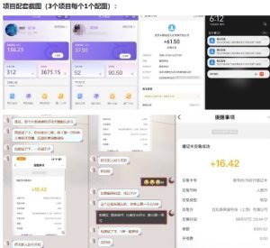 当天能收益的3个小项目拆解_包括平台+操作流程-6688资源库