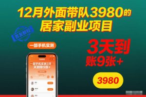12月外面带队3980的居家副业项目,一部手机实测3天到账9张+,首发教程【揭秘】-6688资源库