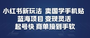 小红书新玩法，卖国学手机贴，蓝海项目，变现灵活，起号快，商单接到手软-6688资源库