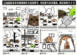 卤蛋哈基米短视频制作全流程教学，条条爆款，疯狂吸粉几十万-6688资源库