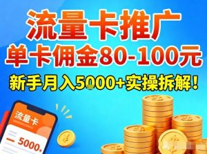 流量卡推广，单卡佣金80-100，新手月入5k+实操拆解！-6688资源库