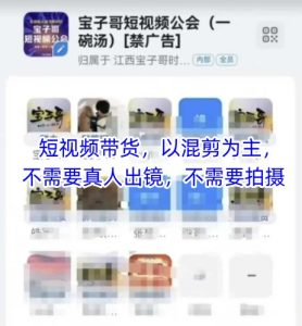 宝子哥头部团队短视频带货，以混剪为主，不需要真人出镜，不需要拍摄【更新12月】-6688资源库