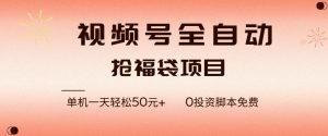 视频号全自动抢福袋，一天单机轻松50+，零成本脚本代替人工去跑【揭秘】-6688资源库