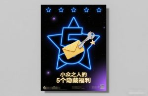 付费文章:小众之人的5个隐藏福利-6688资源库