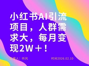 她通过这个AI项目每月做到2W＋的收入，最新小红书AI项目，人群需求大！-6688资源库